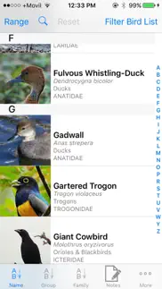 belize birds field guide iphone images 1