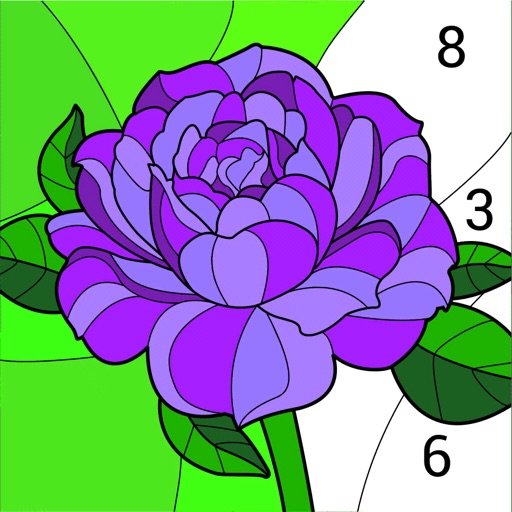 Color By Number - Color Match app reviews download