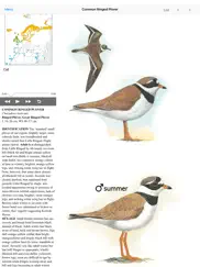 eastern europe birds ipad images 1