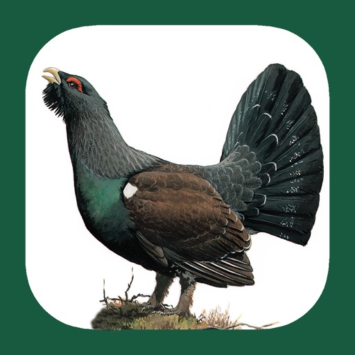 Eastern Europe Birds app reviews download