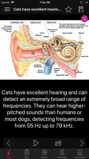 human anatomy ears facts, quiz iphone images 4