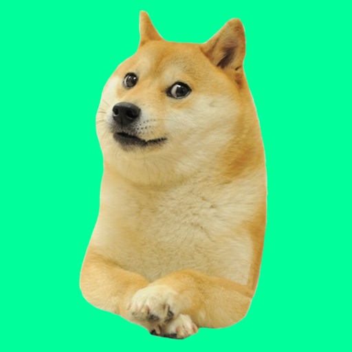 such doge app reviews download