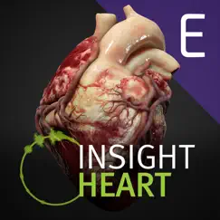 insight heart enterprise logo, reviews