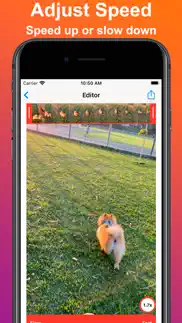 reverse video - play backwards iphone images 3