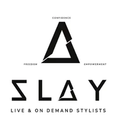 slay commentaires & critiques