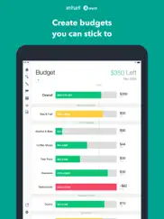 mint: budget & expense manager ipad images 4