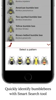 bumble bee watch iphone images 3