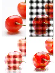 dot art - mosaic effects app ipad images 4