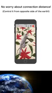 remote video recorder iphone images 3