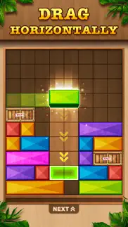 wooden blast - block puzzle iphone images 3