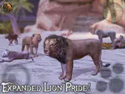 ultimate lion simulator 2 ipad resimleri 3