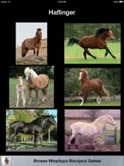 3strike horses ipad images 3