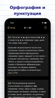 Правила русского языка pro айфон картинки 2