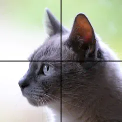 adorable cat puzzles logo, reviews