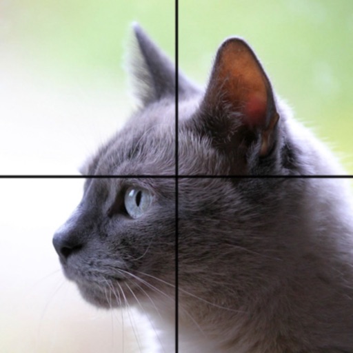 Adorable Cat Puzzles app reviews download