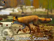 ultimate fox simulator 2 ipad resimleri 4