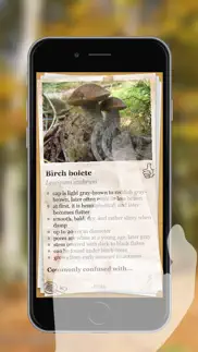 le guide des champignons iPhone Captures Décran 2