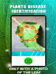 plants disease identification ipad resimleri 2
