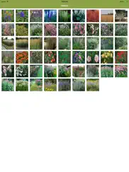 armitage’s great garden plants ipad images 2