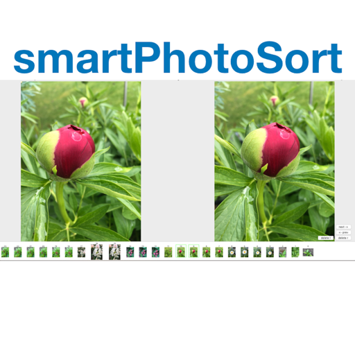 smartphotosort-rezension, bewertung