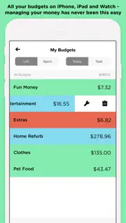 pennies – budget and expenses iphone images 2