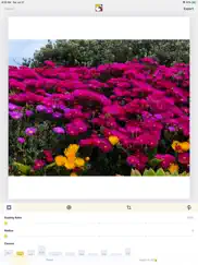 squaredude - square fit photo iPad Captures Décran 3