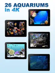 aquariums fireplaces air relax ipad images 1
