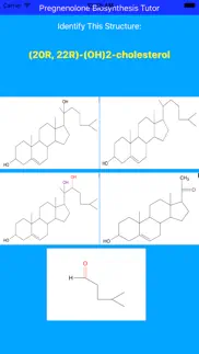 pregnenolone synthesis tutor iphone images 2