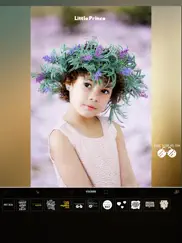 photo editor app ipad images 3