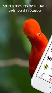 birds of ecuador - field guide iphone images 2