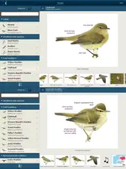 birds of northern europe ipad capturas de pantalla 2