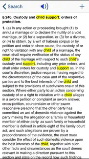 ny domestic relations law 2023 iphone images 3