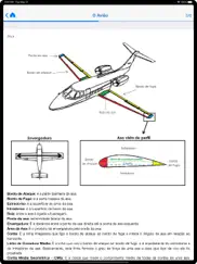 ipilot - teoria de voo (avião) ipad images 4