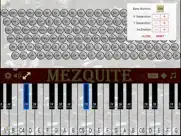 mezquite piano accordion ipad images 4