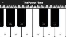 the pocket piano iphone images 3