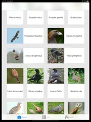 cantos de aves ipad capturas de pantalla 1
