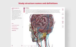 anatomy & physiology iphone images 4