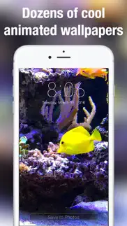 aquarium dynamic wallpapers iphone resimleri 4