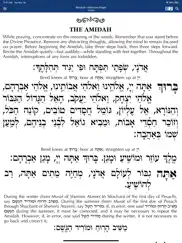 siddur – annotated edition ipad images 3
