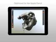 putty 3d ipad images 2