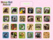 wild animal preschool games ipad images 4