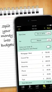 budgets pro - expense tracker iphone images 2