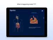 human digestive system ipad images 2