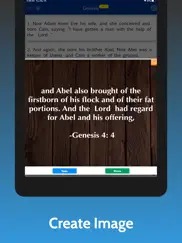 amplified bible pro ipad images 3