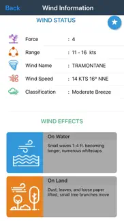 прогноз ветра айфон картинки 2