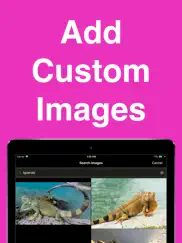 flash cards maker - flashcardy ipad images 2