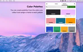 litur - organize your colors iPhone Captures Décran 3