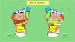 treat your feet - reflexology iphone images 1