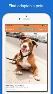 furry friend finder pet rescue iphone images 1