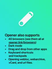 opener ‒ open links in apps ipad images 4